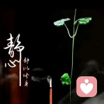 悠悠姐的头像