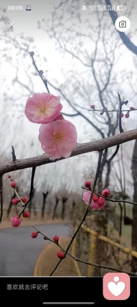 风险自担者，落子不易……