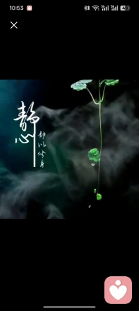 股劫，一片绿！
昨天吃了一碗贵汤圆，今天又云了一杯贵茶！
，