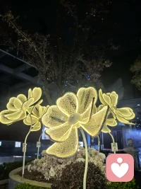 你说，我听。你需要，我都在。配图