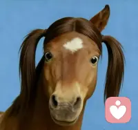 别神化任何一个咨询师，作为心理的从业者，敢承认自己不行，才是这行真正的入门券

心理学这个圈子，确实容易吸引“想当上帝”的人，刚入行时谁没做过几个拯救苍生的梦？

后来发现：来访者需要的根本不是神，他们需要的是一个真实的人，一个愿意陪他在泥泞里走一程的人

你只有接纳了自己也有短板、也有够不着的地方，才能真正放下架子，去接住那个同样不完美的来访者

这不是认输，这是松绑。给自己松绑，也给来访者松绑配图