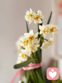 自己的事：全力以赴，不留余力
别人的事：尊重，接纳
老天爷的事：臣服，顺势而为配图