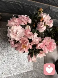 经验不是命运的剧本，而是你亲手写的草稿，你可以去改写它配图