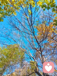☀️ 从业路上，见过太多被情绪困住的灵魂，也听过太多难以启齿的心事。但我始终坚信，黑暗的尽头总有光，迷茫的路上总有方向。
 
作为倾听者，我愿做那束微光，陪你走过低谷，陪你看见希望。不评判、不指责，只用心倾听，用爱陪伴。
 
愿我们都能守住内心的正气，在治愈他人的同时，也治愈自己，向阳而行，步履不停。💪
 
#倾听陪伴 #正能量 #治愈自己 #心灵成长配图