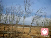 除夕骑行中，倾听陪伴过大年