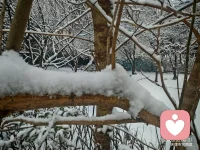 回津了，瑞雪兆丰年，愿所有美好都如约而至。