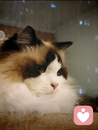 有声音好听的男生吗