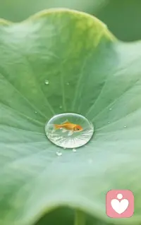 只为做真实的自己，只为做真正的自己👍👍为真实点赞👍👍👍
接纳允许别人做别人，接纳允许自己做自己，别人是没有任何错的。接纳自己的不完美❤️