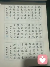 每日一练
静心修养