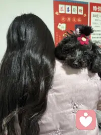 小年，是岁末的序曲，带着温暖与希望，悄然降临。配图