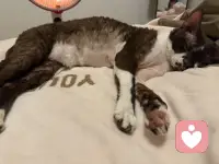 得道，得到，德到
修心，修仁，修己
悦心，悦己，自由欢喜
 向外求求而不得
向内求生生不息
所以你不需要太用力走近任何人，
只需要用力走向自己……