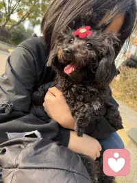 得道，得到，德到
修心，修仁，修己
悦心，悦己，自由欢喜
 向外求求而不得
向内求生生不息
所以你不需要太用力走近任何人，
只需要用力走向自己……