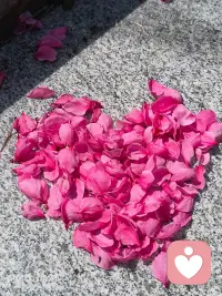 缘分可遇不可求
有幸今晚遇见你
很开心❤️配图