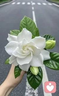满电营业，倾听师在线✨
安放焦躁，化解心结
所有无处诉说的情绪，我都在。配图