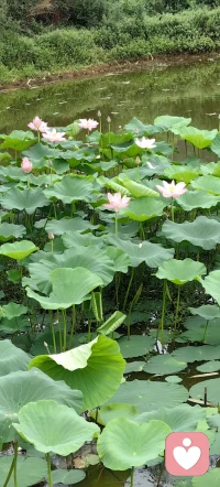  生活总有解不开的心结、说不出口的无奈。不用伪装，不必拘谨，在这里，安心诉说就好。今日上线，陪你与情绪和解。