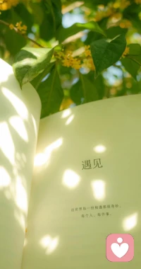 不管是深夜的emo，还是日常的小纠结，随时找我，耐心倾听，全程陪伴配图