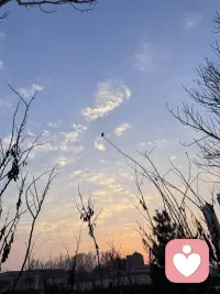 心中有爱，眼中有光，这份美好的心情，愿与你一同分享