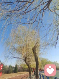 心态，就是最好的养生很多小毛病，都和长期焦虑、内耗有关。 保持积极、放松、平和的状态， 身体也会跟着更轻松、更有活力。 好好照顾情绪，就是在好好照顾自己。