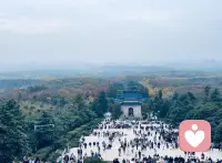 树洞倾听👂保密严谨配图
