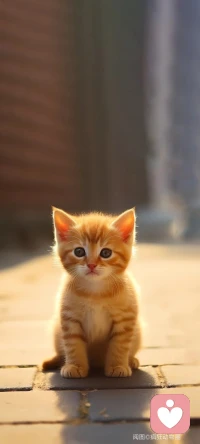 等一个需要被关怀的人配图