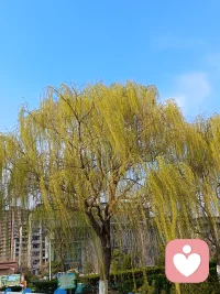 人生只有一次，你要活的有滋有味，不要让其他的人和事影响到你的快乐配图