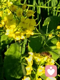 成年人的世界，没有容易二字，但你依然可以选择热烈、坚定、不妥协。
不必事事完美，但要步步向前；不必光芒万丈，但始终温暖有光。
扛得住压力，守得住初心，日子慢慢过，路一步步走，你想要的，终会如期而至。配图