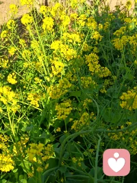 成年人的世界，扛得住风雨，守得住初心，前路漫漫亦灿灿。