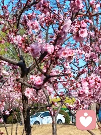 生活或许不易，但你撑住的每一步，都在靠近想要的未来。