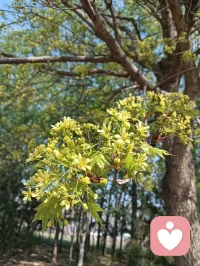 扛住压力，稳住心态，平凡日子里，也能活成自己的靠山。