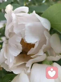 成年人的情感，先谋生再谋爱，先自立再爱人。