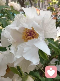 成年人的感情，大多始于心动，终于现实，怕深情被辜负，又怕孤独没依靠。