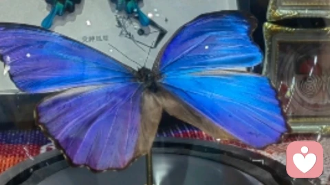 从校园到职场：藏在过渡期的成长阵痛，你正在经历的吗？