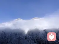 情绪的本质，是意识对躯体本能行动驱力的管理结果。

✅管理有效时，情绪是理性的本能表达；
❎管理失控时，情绪是感性的冲动失控。