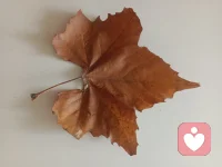 其实聆听也是生命里的一种相遇，能有幸共同书写聆听与倾诉的乐章何尝不是一种幸运呢！我在远方静静的等你配图