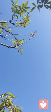 愿不劳而获，无功受禄，一步登天，坐享其成～
​