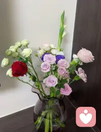 去经历，去感受，去做自己想做的事情❤️