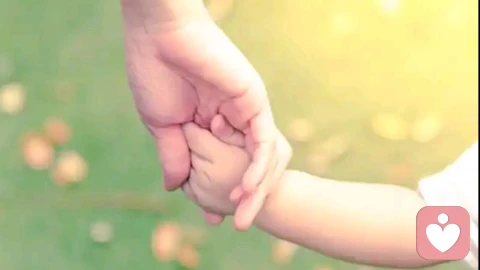 亲子关系：最好的教育，是心理上的看见与接纳