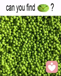 符号是完美的，所以不伤人，也不动人；

真实的人是混乱的，有温度，有毛边，会让你失望，也会让你意外。

我们常常爱上一个抽象的符号——温柔的人、懂我的人、对的人——然后用这个符号去衡量眼前具体的人，结果不是对方窒息，就是我们自己失望。

而爱真实的人，意味着：

· 接受他有情绪，不总是温柔
· 接受他会疲惫，不总能懂你
· 接受他和你的想象不一样，而你仍然愿意看见他

说到底，能爱真实的人，是因为先接纳了真实的自己。配图