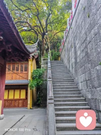 今天是个好天气，要聊天吗？