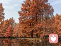 去过的美景总是在不经意间惊艳着我，爱的事物真的会一直爱下去的