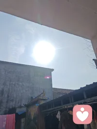 今天的暖阳分你一份，一定要开心点才行啊