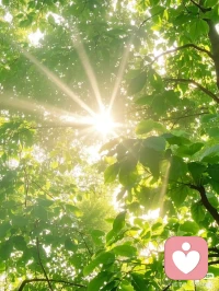 焦虑不是敌人，也不是恶魔，他象一个过度保护你的朋友，他曾经看过你的受伤，想保护你的安全，你要向他证明你已经强大到可以保护自己，他就会自动离开了。配图