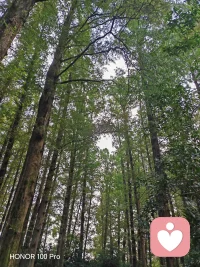 不要对每一件事都有反应。要学着让画话掉在地上。配图