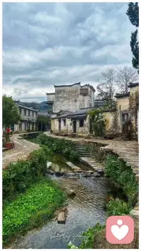 别让情绪控制，左右你的思想，当你脑子里有两个声音时，来找我聊聊