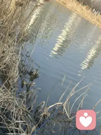 我每次在钓鱼的时候都在想，如何帮助更多的人，如果你也迷茫，不好意思开口，那么你可以给我留言，我一直都在。配图