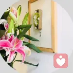 安心倾听的头像