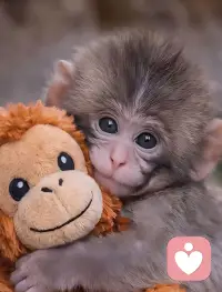 有时无需讲太多，一个拥抱，一个微笑，一个眼神，胜过千言万语！温暖心灵！🏵️