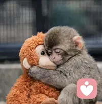 有时无需讲太多，一个拥抱，一个微笑，一个眼神，胜过千言万语！温暖心灵！🏵️