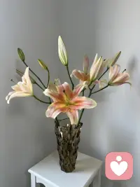 相信什么就会吸引什么！🌼