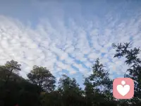 生命的意义是快乐，快乐的密码是成长，只要你想快乐，你的快乐，不必依附于任何条件或他人。当你的快乐根系扎在自己内心深处，便能风雨无惧，四季常青。配图